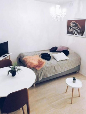 New Studio Zebra near Airport